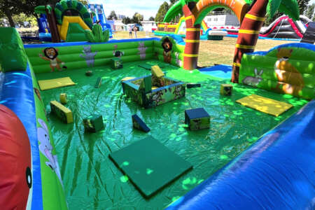 Arene Jungle + Kit de motricité 2 Arene Jungle + Kit de motricité 2