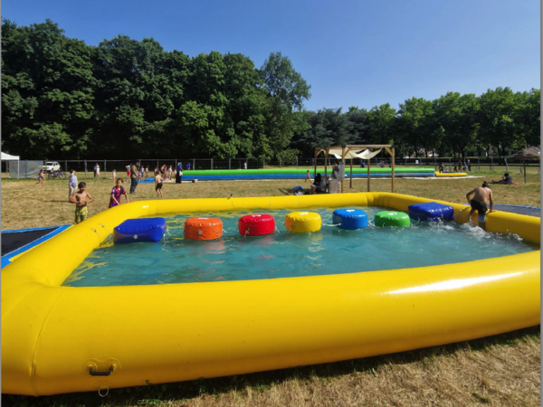 Nenuphar Aquatique 2 Nenuphar Aquatique 2